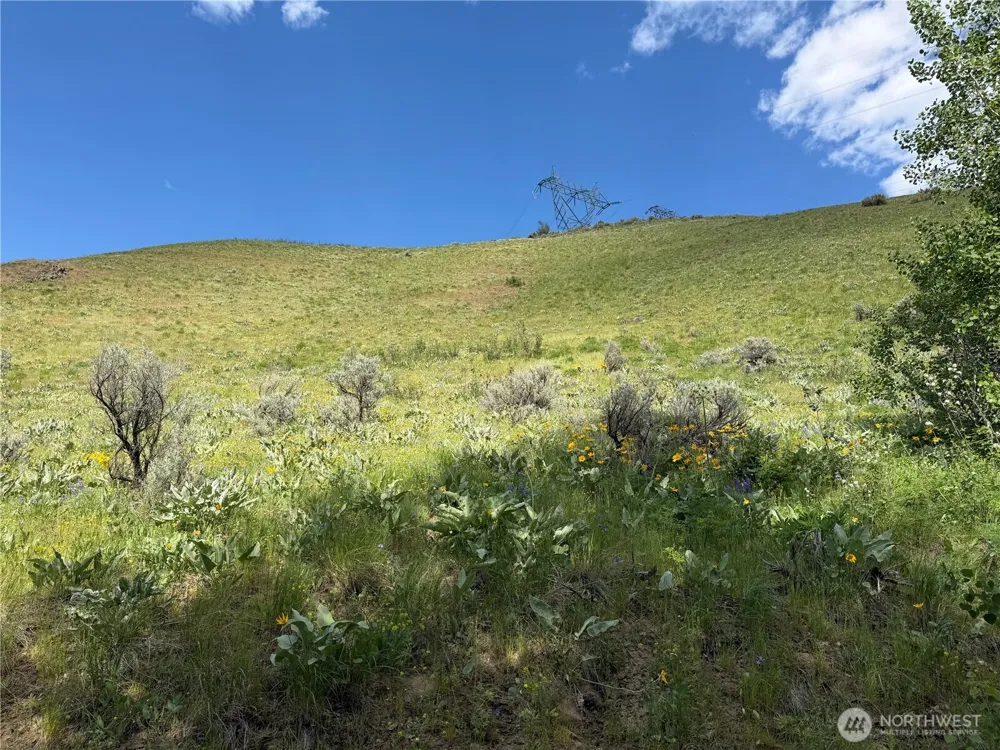 0 Tyee View Loop Waterville, WA 98858