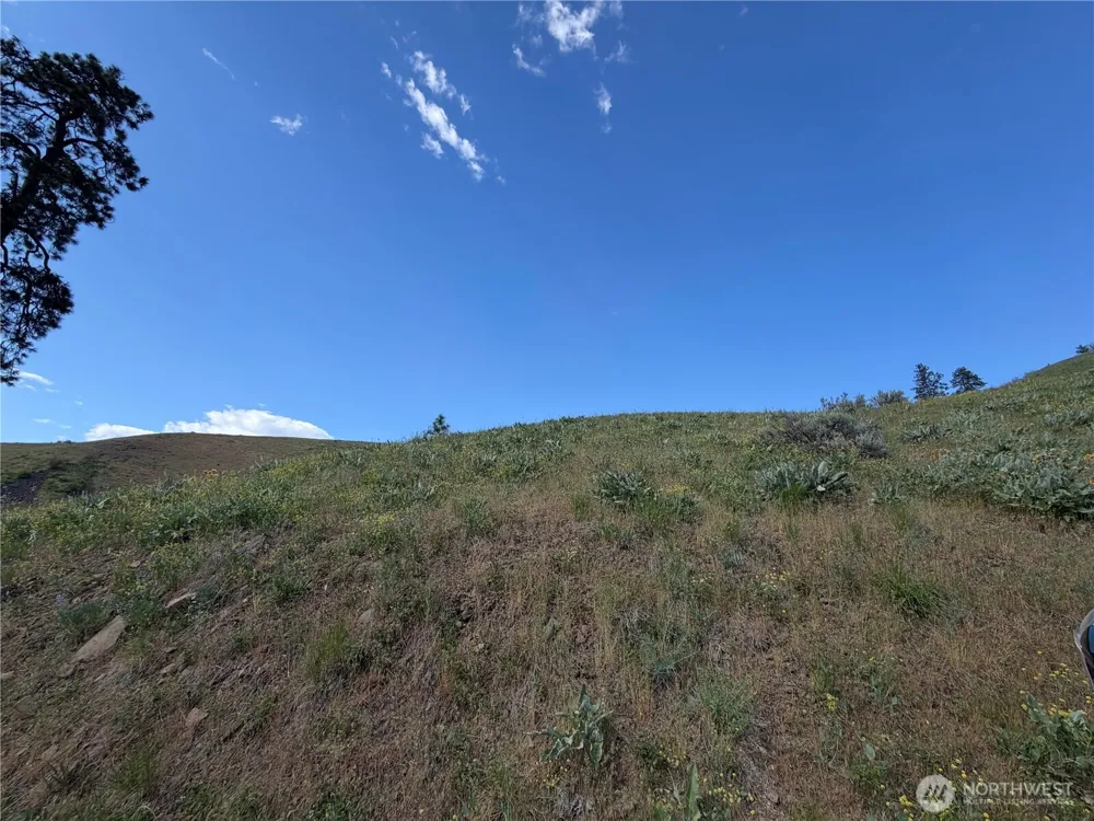 0 Tyee View Loop Waterville, WA 98858