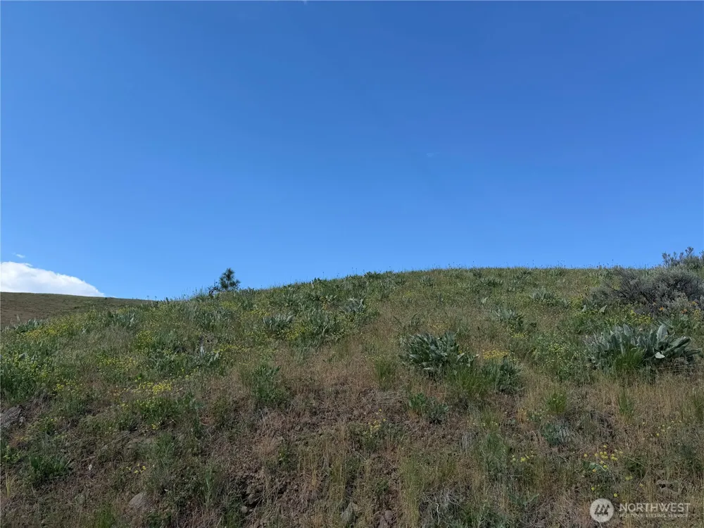 0 Tyee View Loop Waterville, WA 98858