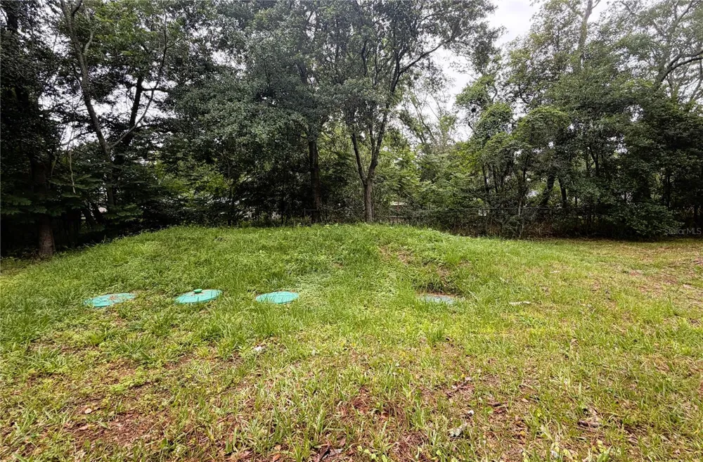 8139 VINING STREET Jacksonville, FL 32210