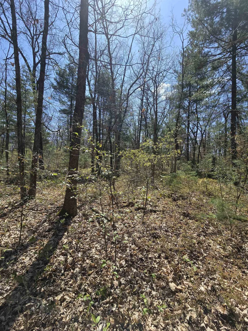 S Locust Avenue Big Prairie Township, MI 49349