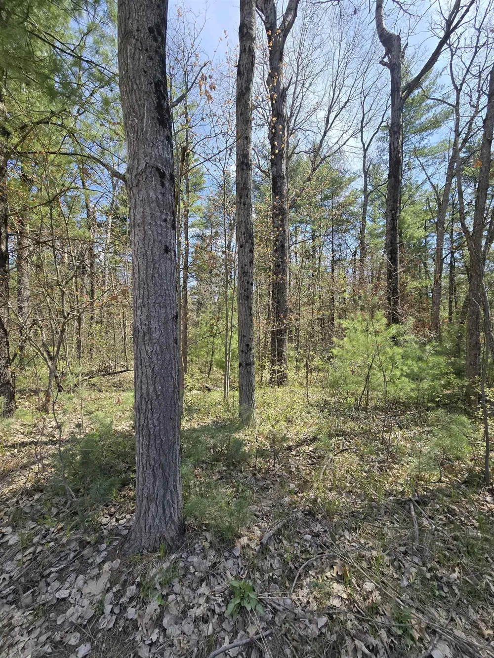 S Locust Avenue Big Prairie Township, MI 49349