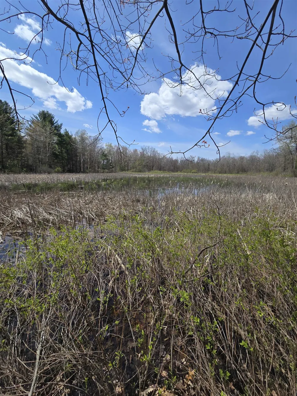 E Baseline Road Big Prairie Township, MI 49349