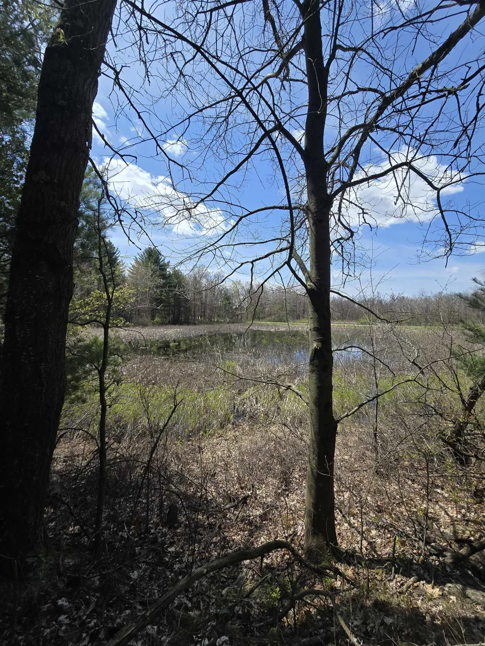 E Baseline Road Big Prairie Township, MI 49349