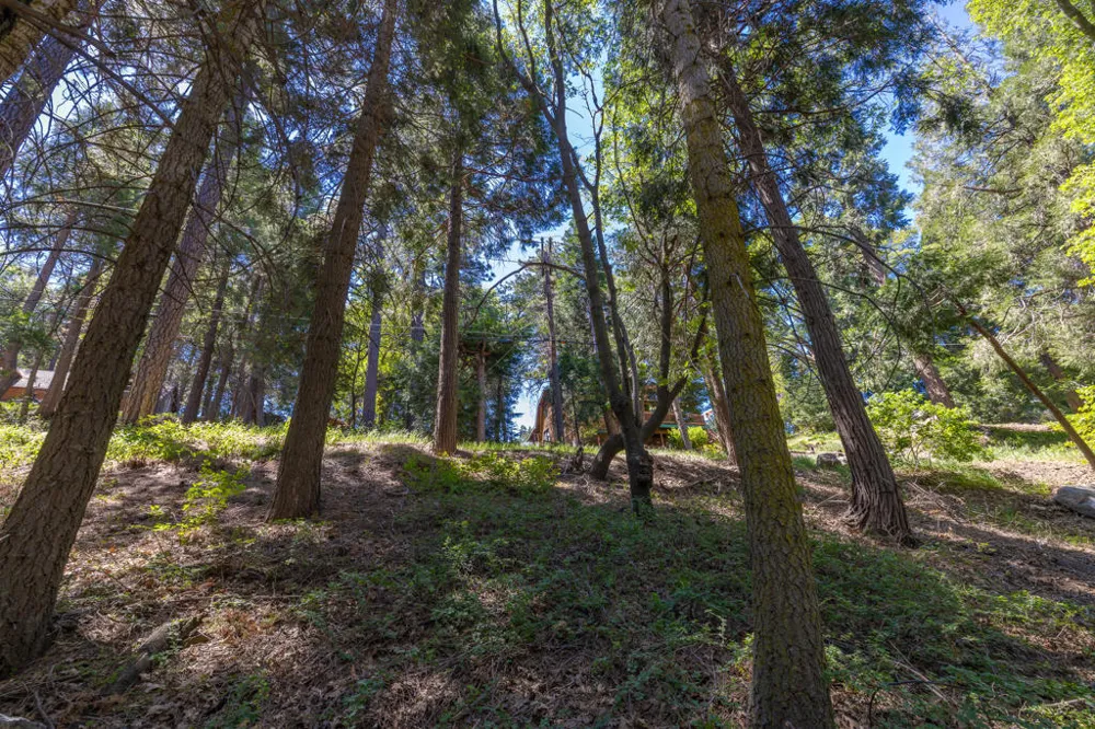 Cedar Pines Drive Crestline, CA 92325