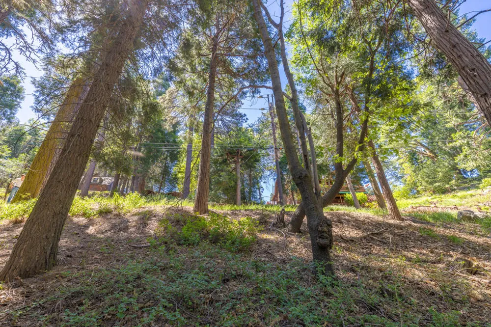 Cedar Pines Drive Crestline, CA 92325