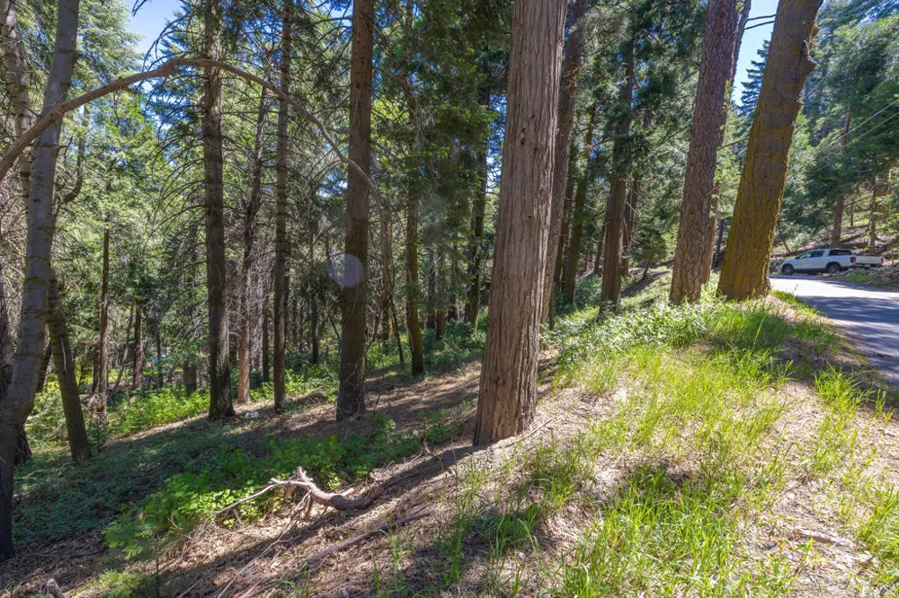 Cedar Pines Drive Crestline, CA 92325