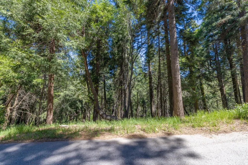 Cedar Pines Drive Crestline, CA 92325
