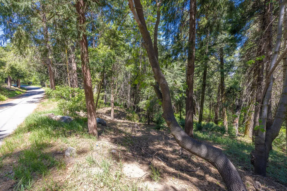 Cedar Pines Drive Crestline, CA 92325