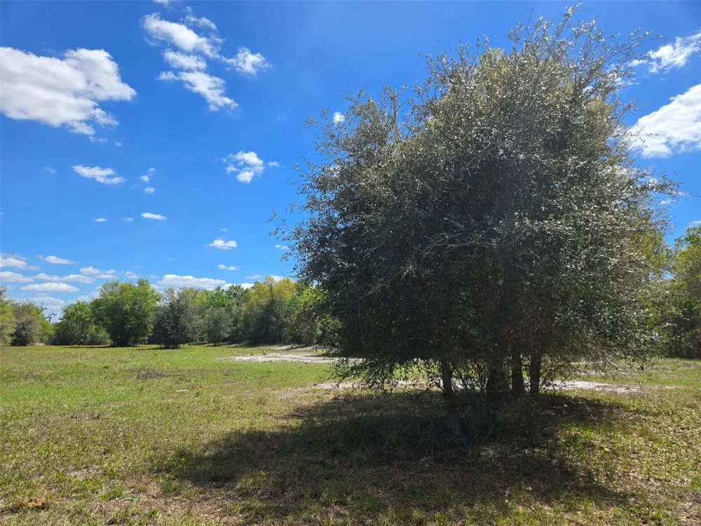 NW 70 HIGHWAY NW Arcadia, FL 34266
