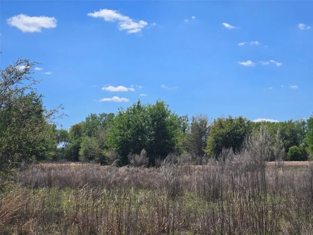 NW 70 HIGHWAY NW Arcadia, FL 34266