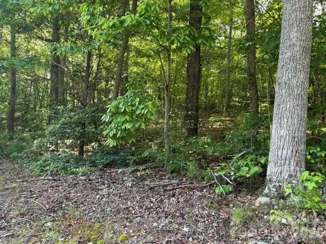 000 Gettys Road Ellenboro, NC 28040