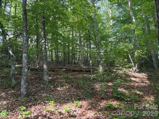 000 Gettys Road Ellenboro, NC 28040