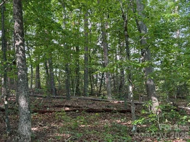 000 Gettys Road Ellenboro, NC 28040