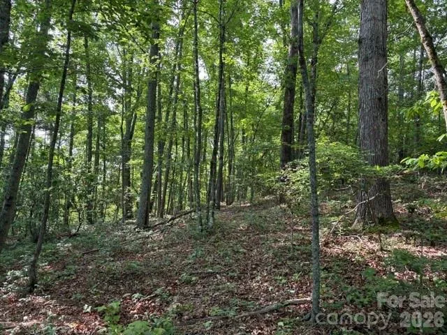 000 Gettys Road Ellenboro, NC 28040