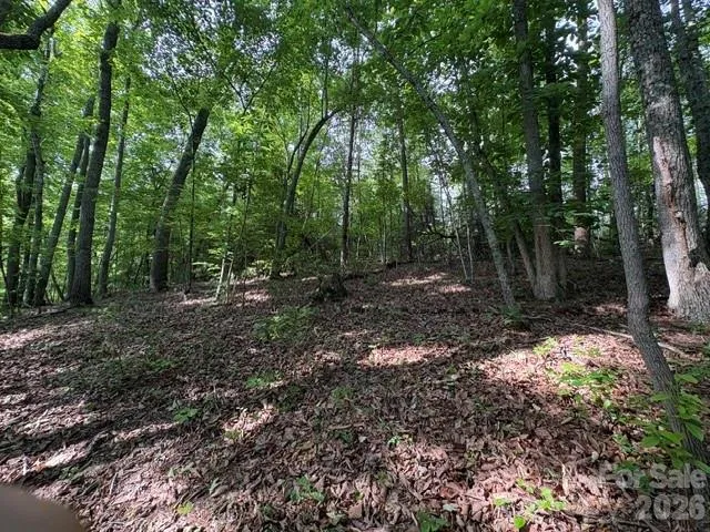 000 Gettys Road Ellenboro, NC 28040