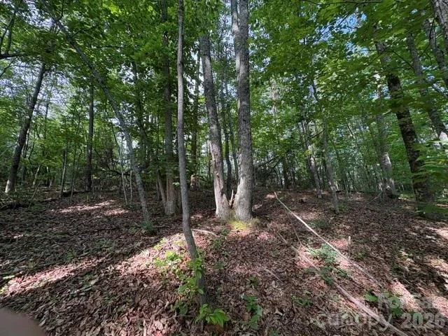 000 Gettys Road Ellenboro, NC 28040