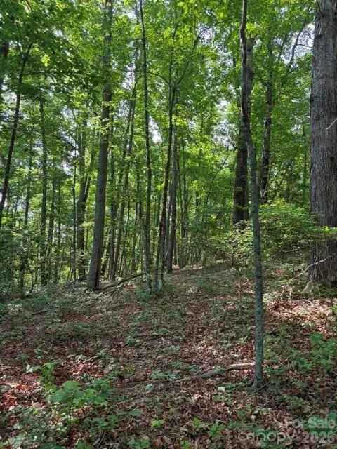 000 Gettys Road Ellenboro, NC 28040