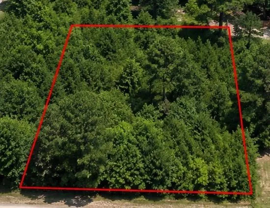 Spanish Oaks Drive New Caney, TX 77357
