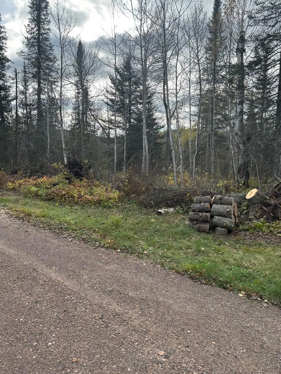 7064 Cramer Road Finland, MN 55603
