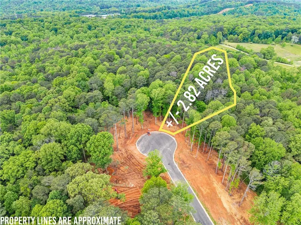 Lot 4 Lowe Lane Talking Rock, GA 30175