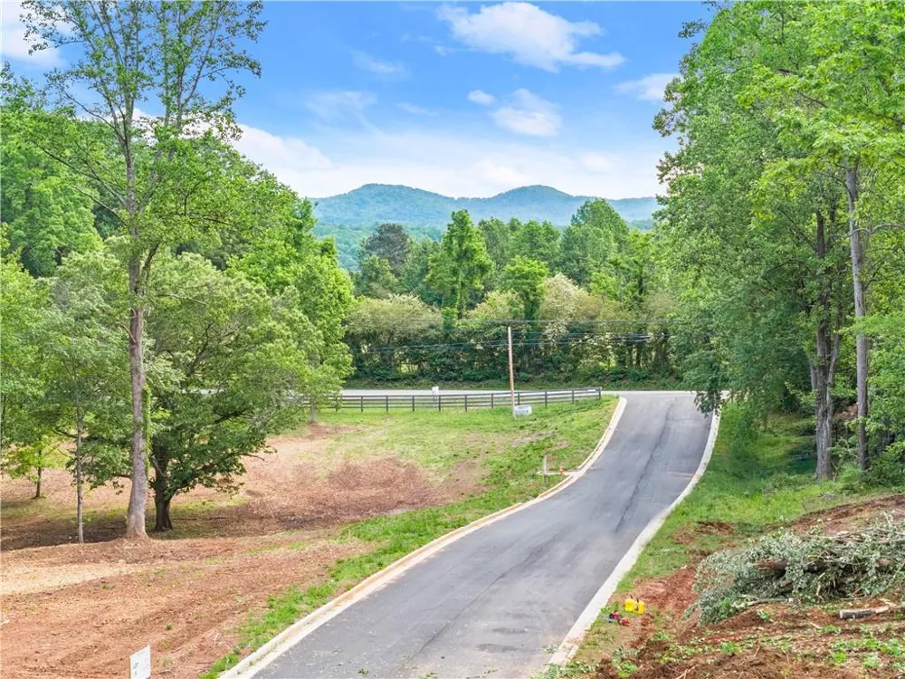 Lot 7 Lowe Lane Talking Rock, GA 30175