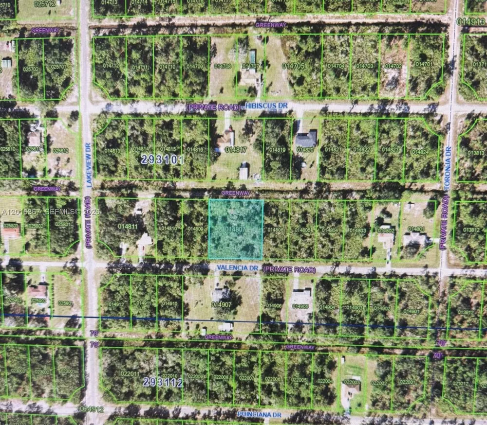 valencia Lake Wales, FL 33855