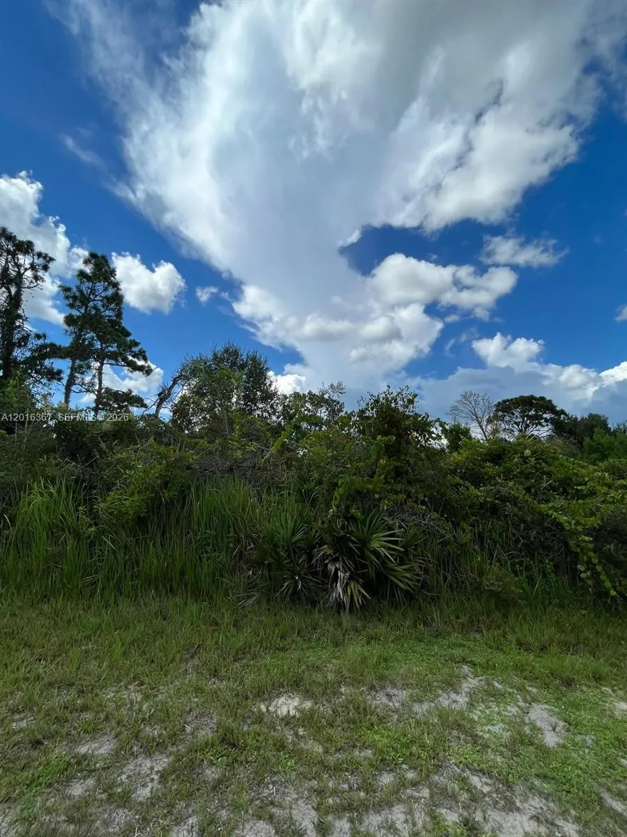 valencia Lake Wales, FL 33855