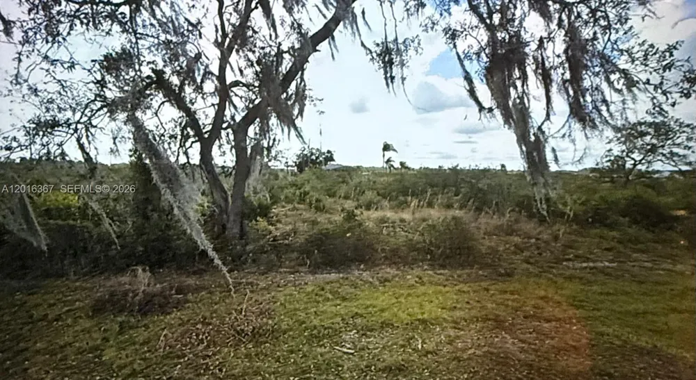 valencia Lake Wales, FL 33855