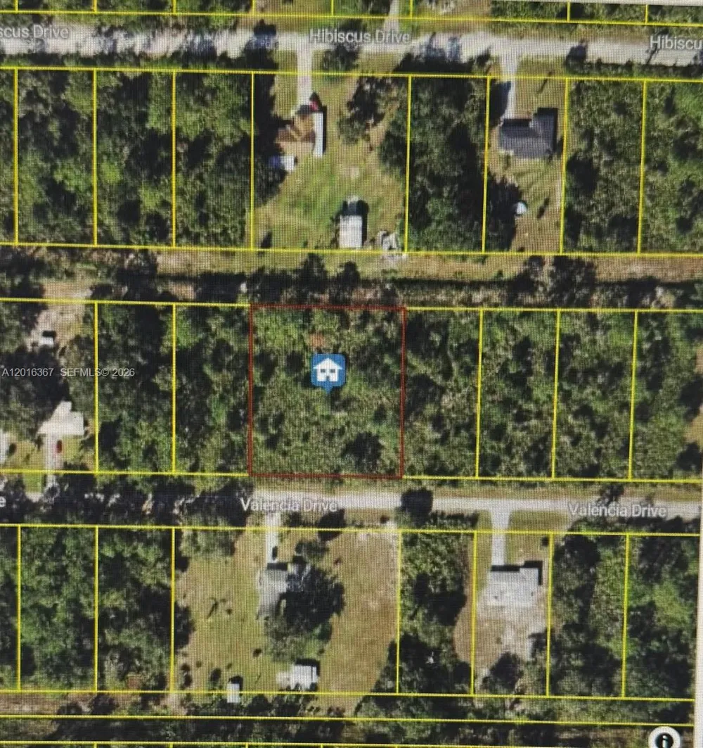 valencia Lake Wales, FL 33855