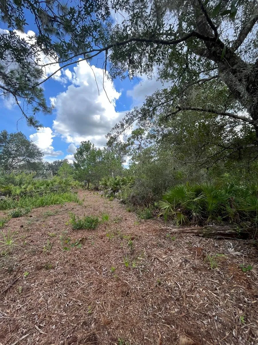 valencia Lake Wales, FL 33855