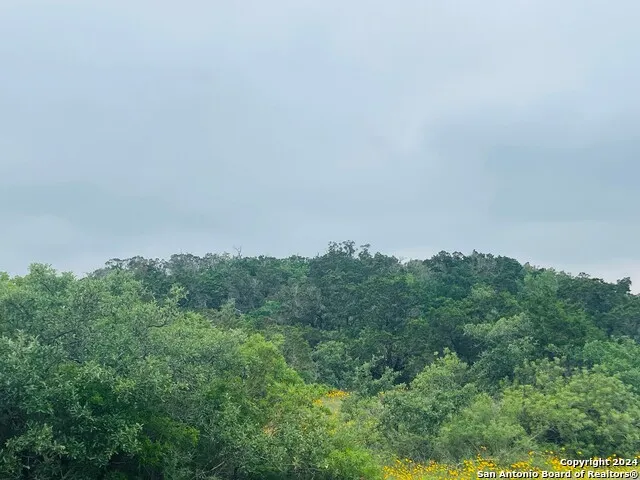 14333 SANTA LOMA Helotes, TX 78023