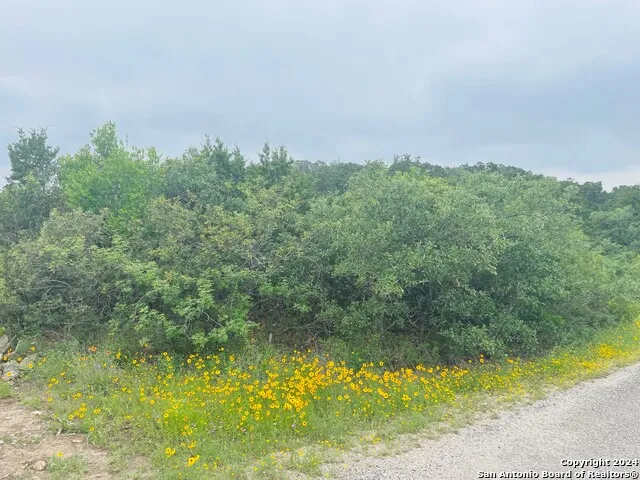 14333 SANTA LOMA Helotes, TX 78023