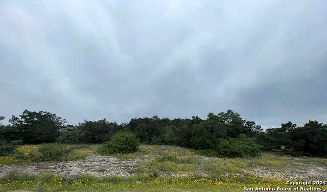 14333 SANTA LOMA Helotes, TX 78023