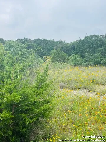 14333 SANTA LOMA Helotes, TX 78023