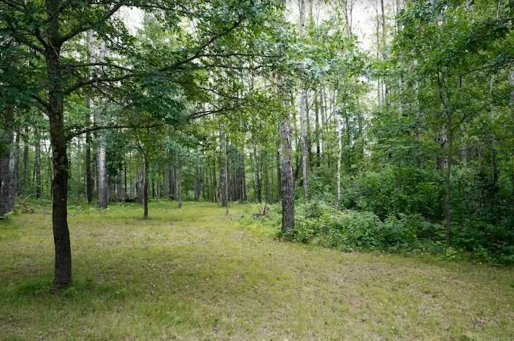 W8432 Webb Creek Drive Trego, WI 54888