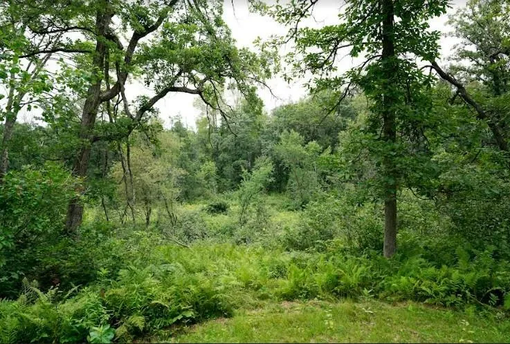 W8432 Webb Creek Drive Trego, WI 54888