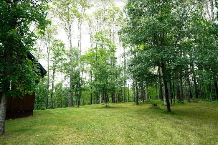 W8432 Webb Creek Drive Trego, WI 54888