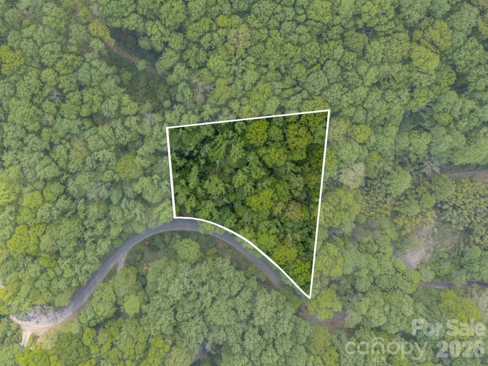 259 Mockingbird Road #1 Swannanoa, NC 28778