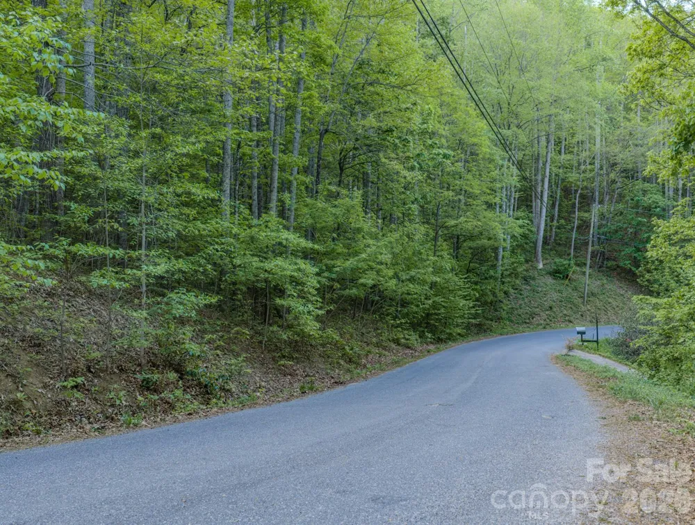 259 Mockingbird Road #1 Swannanoa, NC 28778