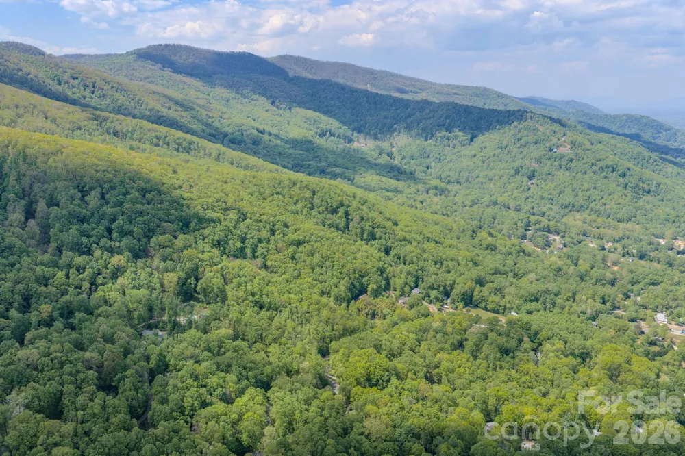259 Mockingbird Road #1 Swannanoa, NC 28778