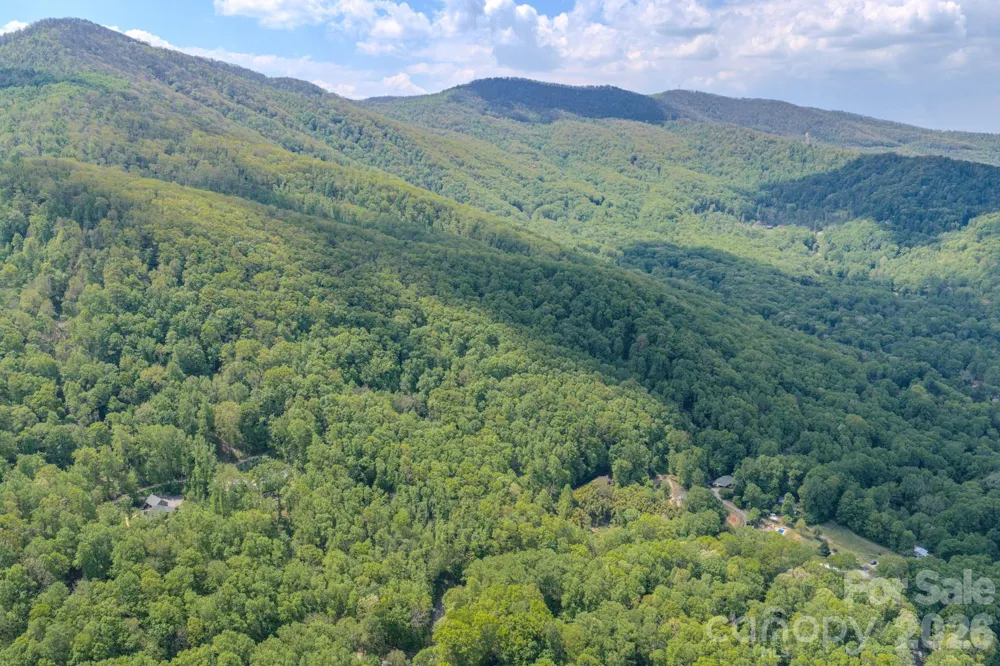 259 Mockingbird Road #1 Swannanoa, NC 28778
