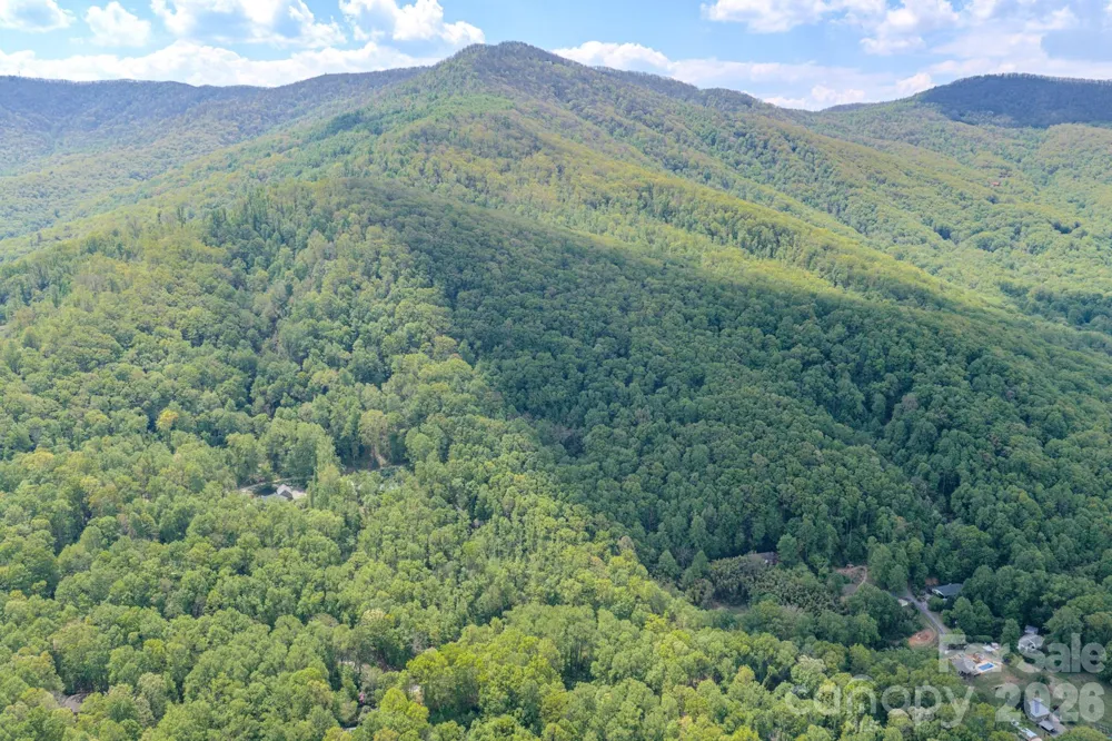 259 Mockingbird Road #1 Swannanoa, NC 28778