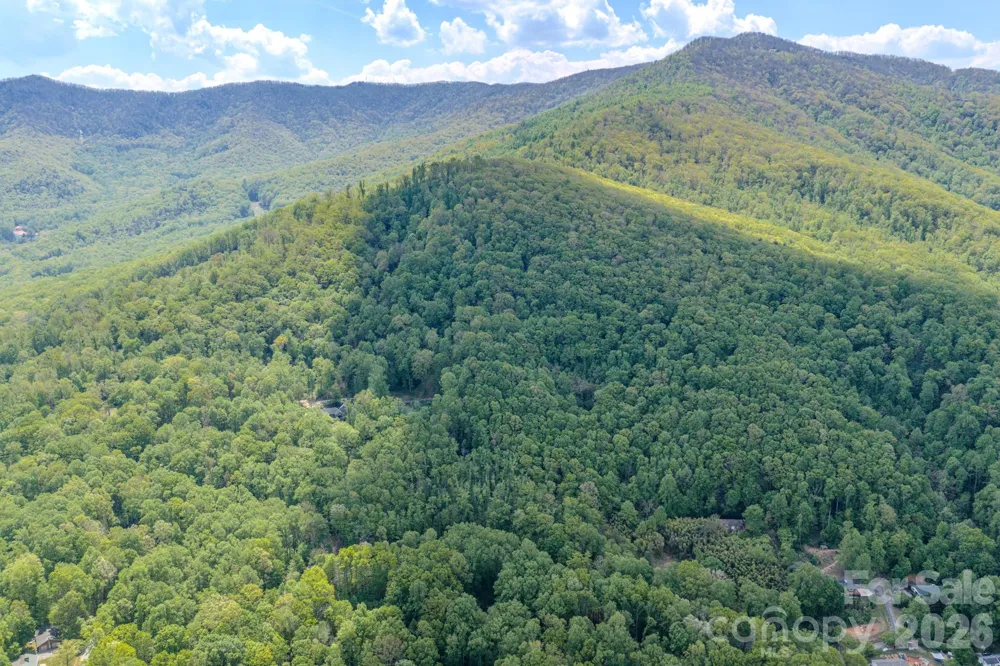 259 Mockingbird Road #1 Swannanoa, NC 28778