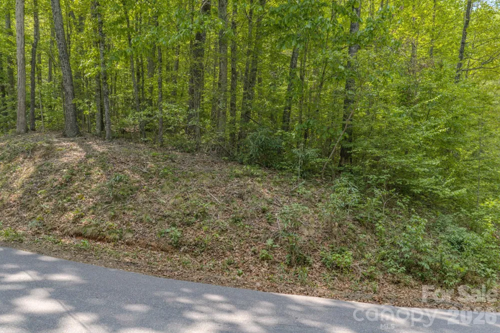 259 Mockingbird Road #1 Swannanoa, NC 28778