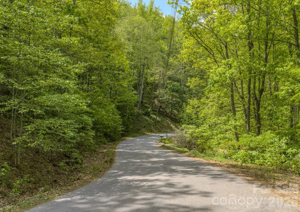 259 Mockingbird Road #1 Swannanoa, NC 28778
