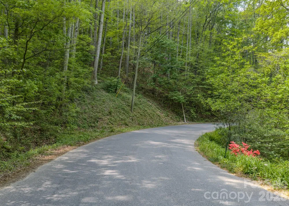 259 Mockingbird Road #1 Swannanoa, NC 28778