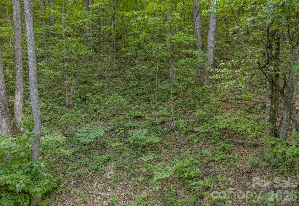 259 Mockingbird Road #1 Swannanoa, NC 28778
