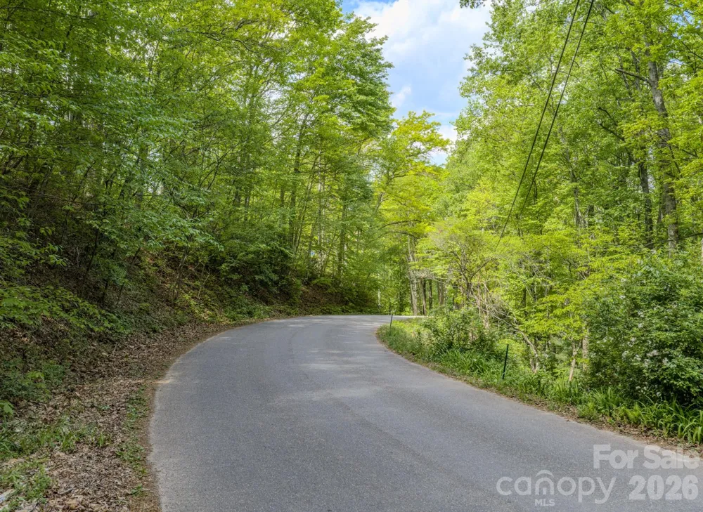 259 Mockingbird Road #1 Swannanoa, NC 28778