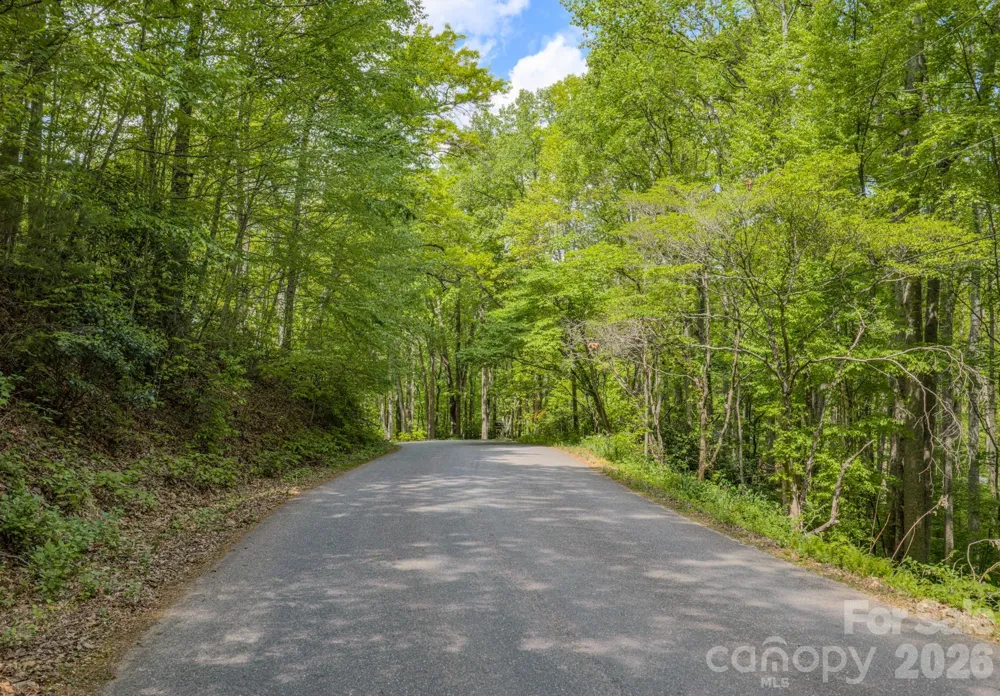 259 Mockingbird Road #1 Swannanoa, NC 28778